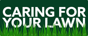 Lawn care information